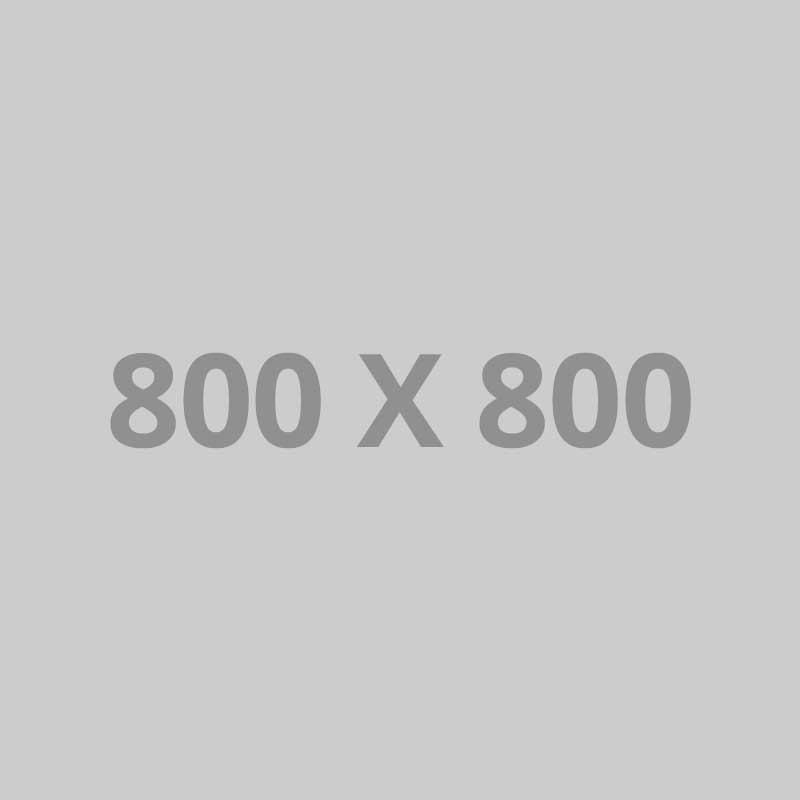 pofo 800x800-ph